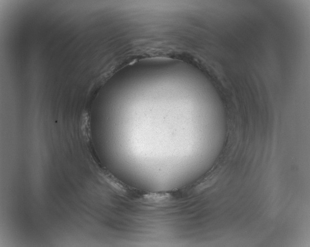 X0000063450480200602101653