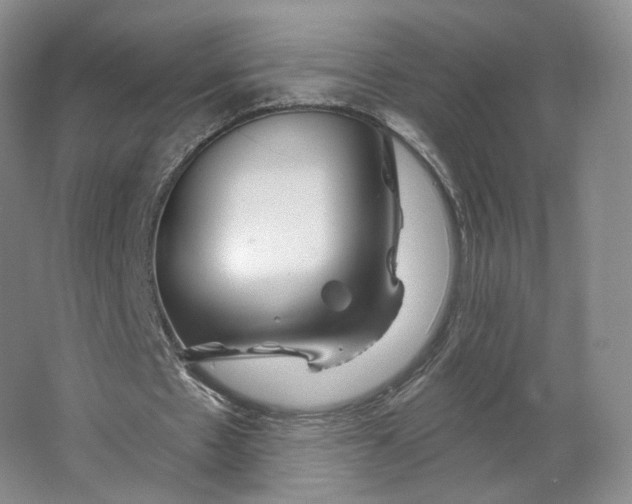 X0000063450481200602101652