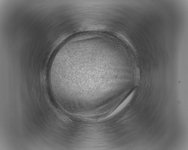 X0000063450483200602101652