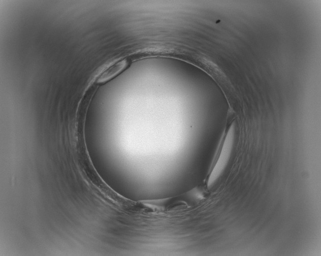 X0000063450484200602101652