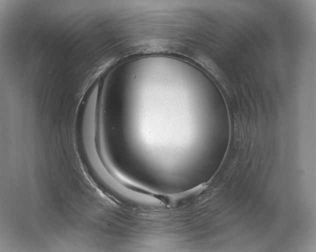 X0000063450485200602101652