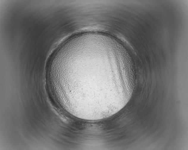 X0000063450486200602101652