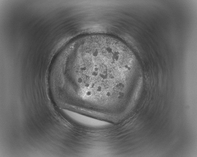 X0000063450487200602101652