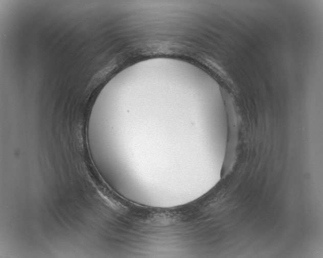 X0000063450489200602101652