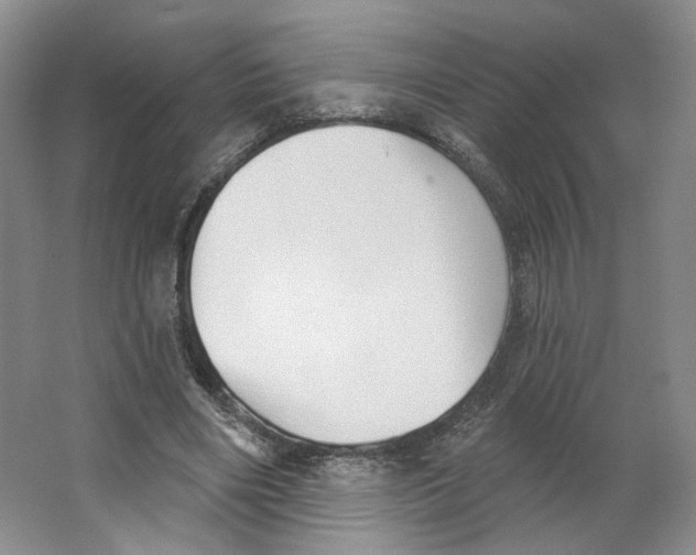 X0000063450490200602101652