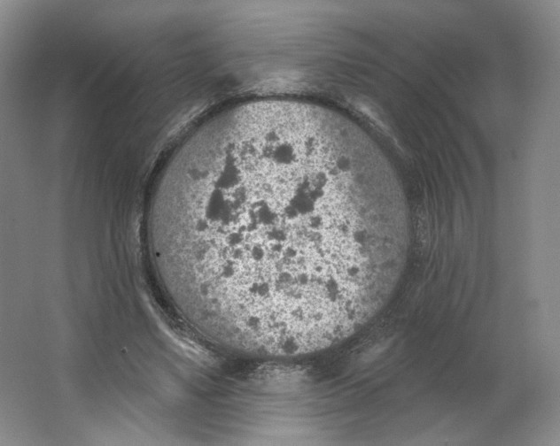 X0000063450491200602101652