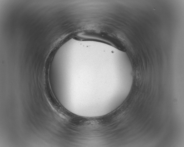 X0000063450492200602101652