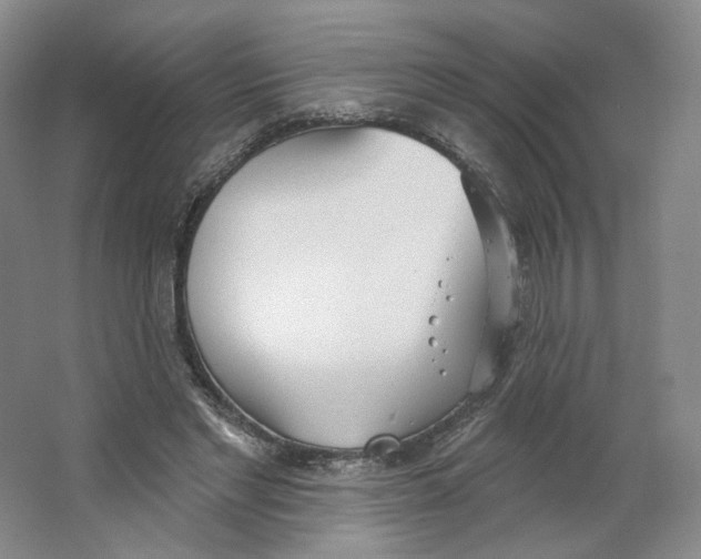 X0000063450493200602101652