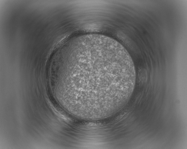 X0000063450494200602101652