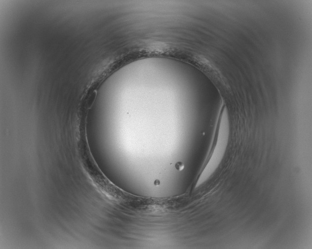 X0000063450496200602101652