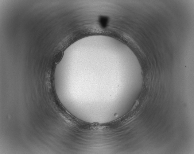 X0000063450497200602101652