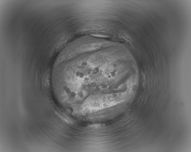 X0000063450499200602101652