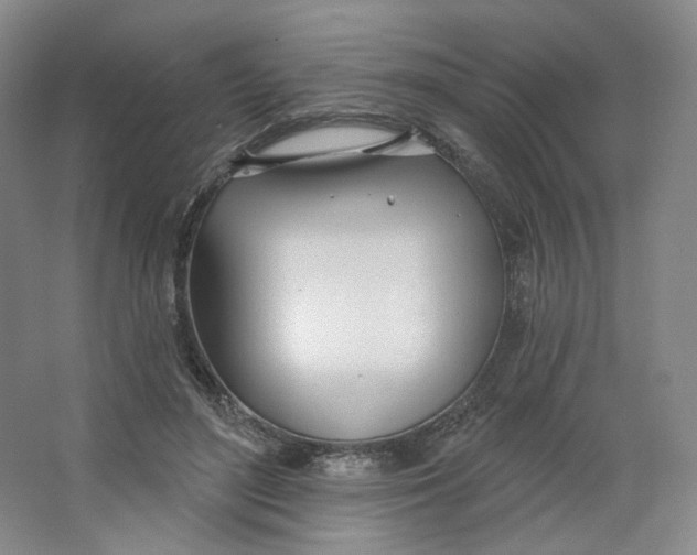 X0000063450500200602101652