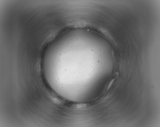 X0000063450501200602101652