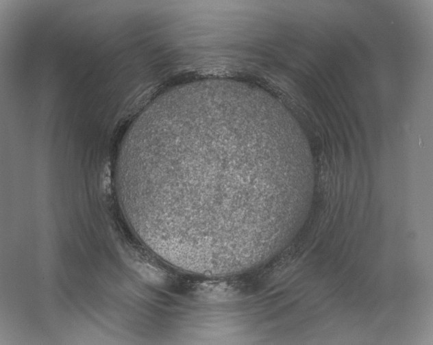 X0000063450502200602101652