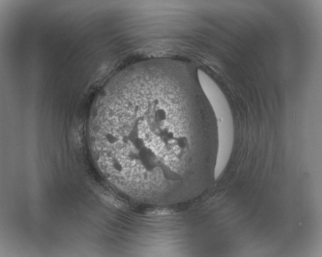 X0000063450503200602101652