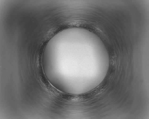 X0000063450504200602101652