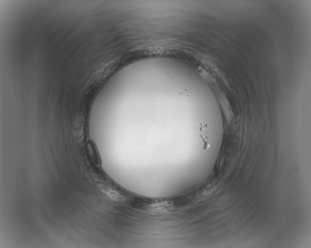 X0000063450505200602101652