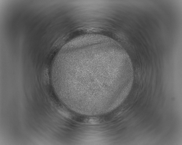 X0000063450506200602101652