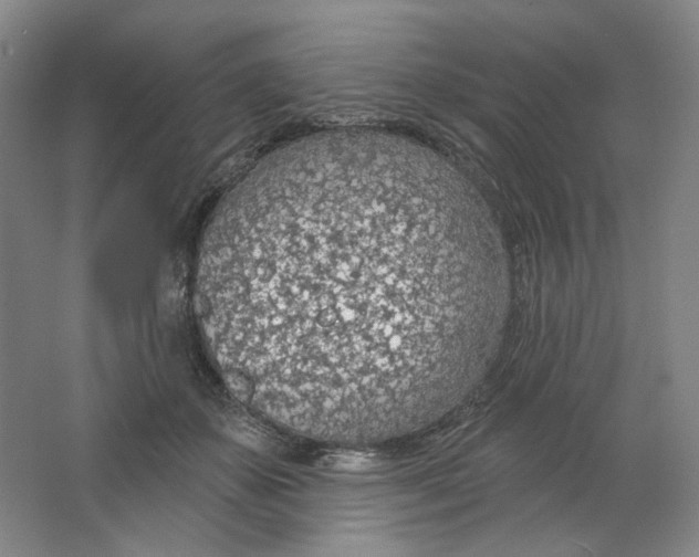 X0000063450507200602101652