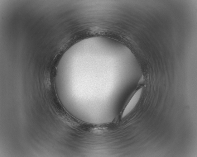 X0000063450508200602101652