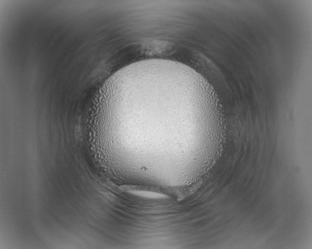 X0000063450510200602101652