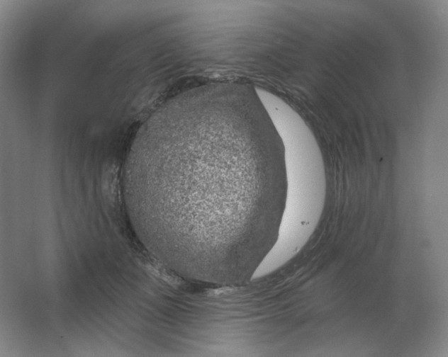 X0000063450511200602101652