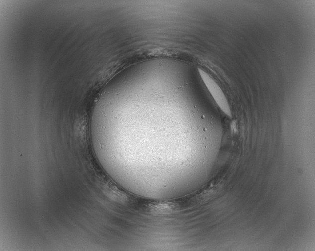 X0000063450513200602101652