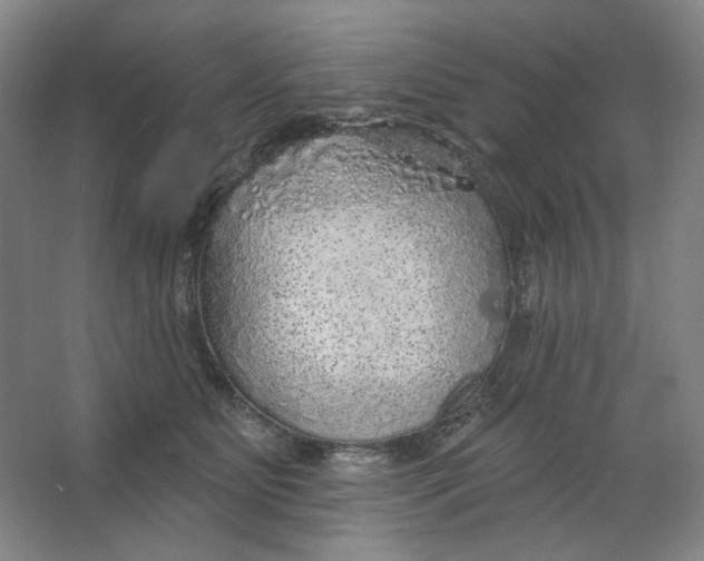 X0000063450515200602101652