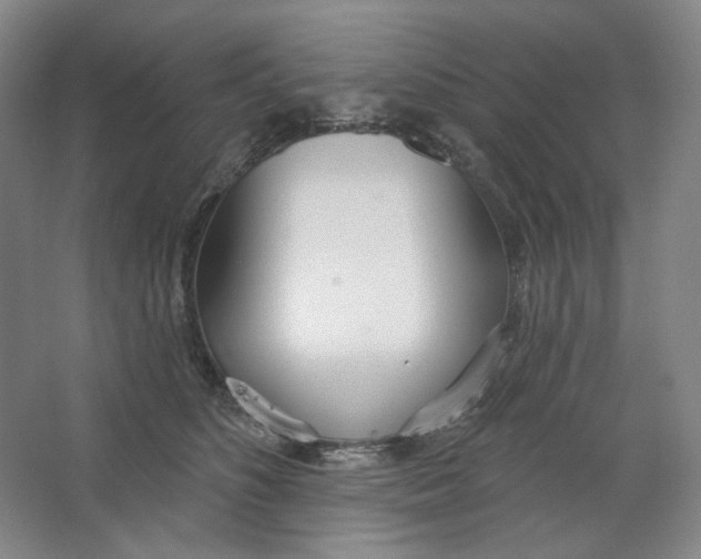 X0000063450516200602101652