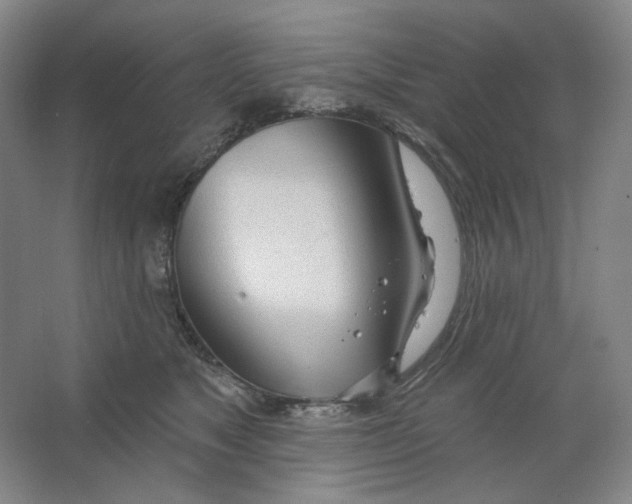 X0000063450517200602101652