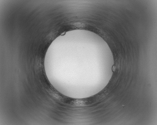 X0000063450518200602101652