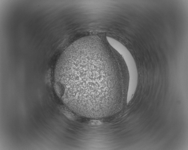 X0000063450519200602101652