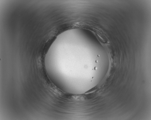 X0000063450520200602101652