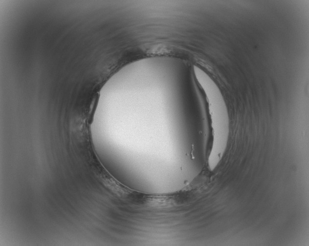 X0000063450521200602101652