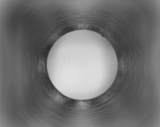 X0000063450522200602101652