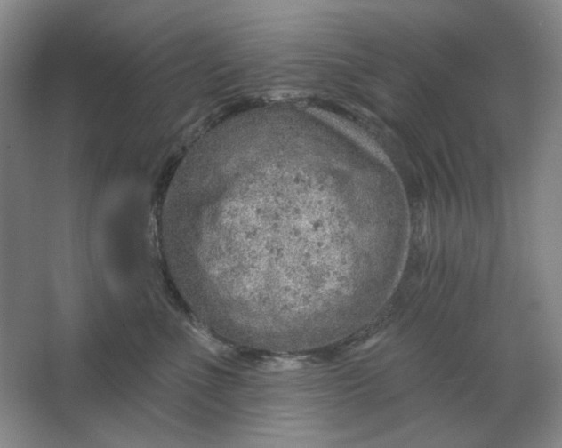 X0000063450523200602101651