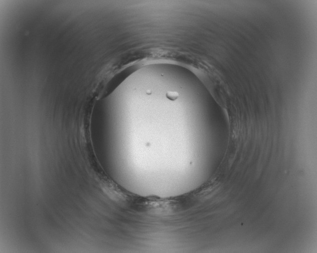 X0000063450524200602101651