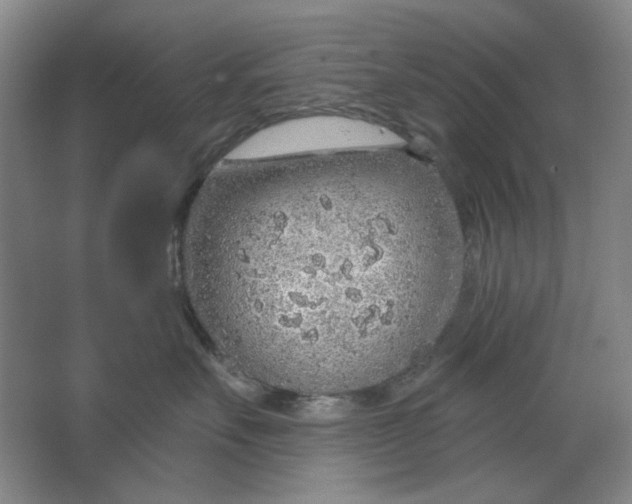 X0000063450527200602101651