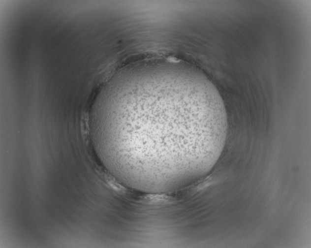 X0000063450528200602101651