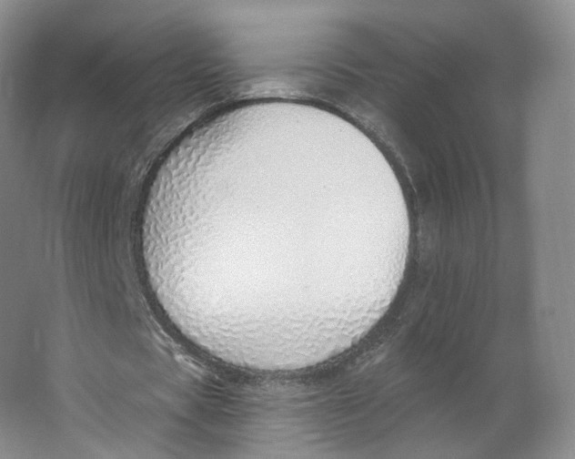 X0000063450529200602101651