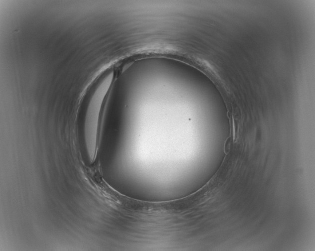 X0000063450531200602101651