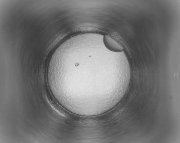 X0000063450533200602101651