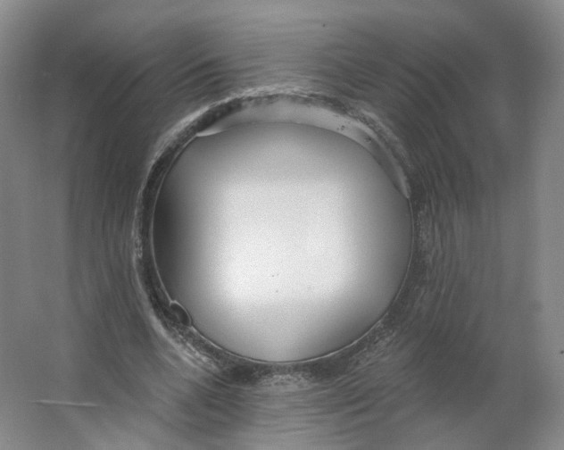 X0000063450536200602101651