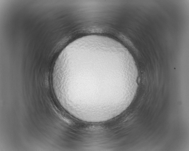 X0000063450537200602101651