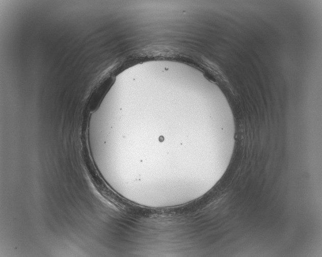 X0000063450538200602101651