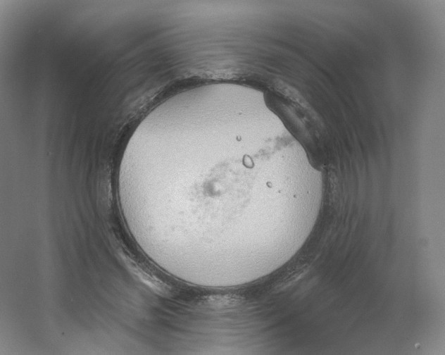 X0000063450541200602101651