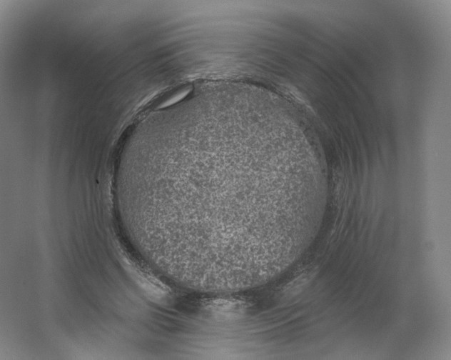 X0000063450542200602101651