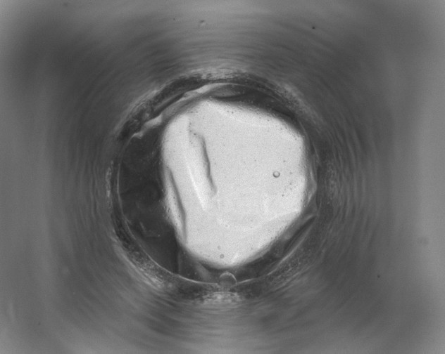 X0000063450543200602101651