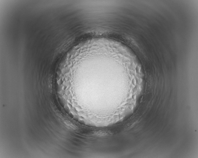 X0000063450545200602101651